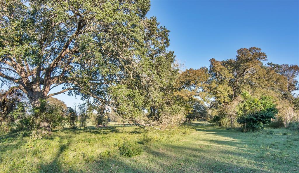 Fm 822, Edna, Texas image 8