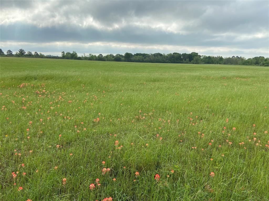 20720 Cochran Road, Prairie View, Texas image 4