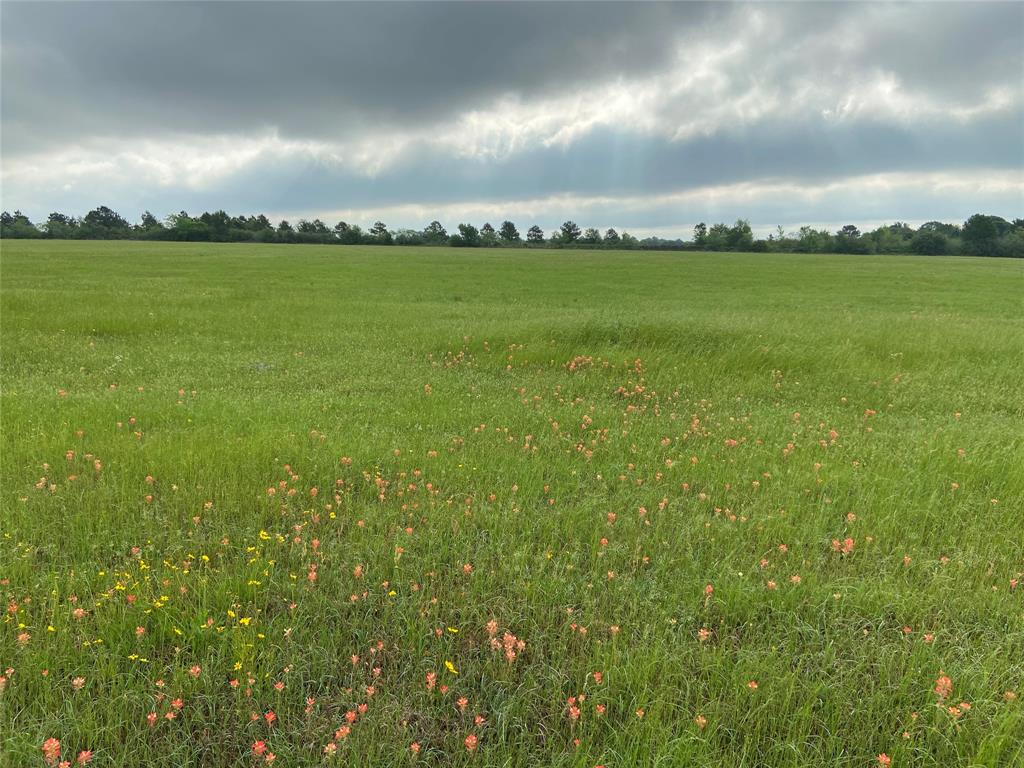 20720 Cochran Road, Prairie View, Texas image 1