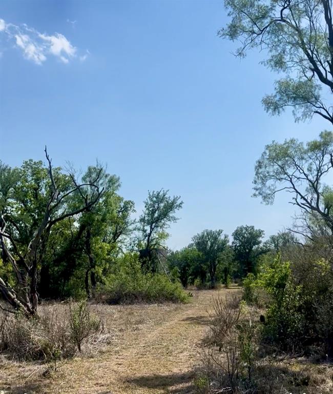 4692 County Road 249, Rochelle, Texas image 26