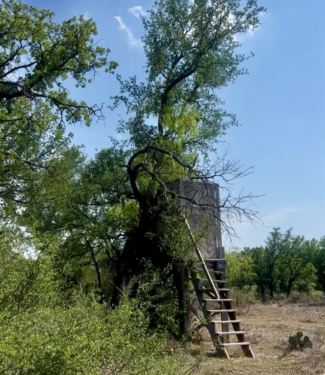 4692 County Road 249, Rochelle, Texas image 27