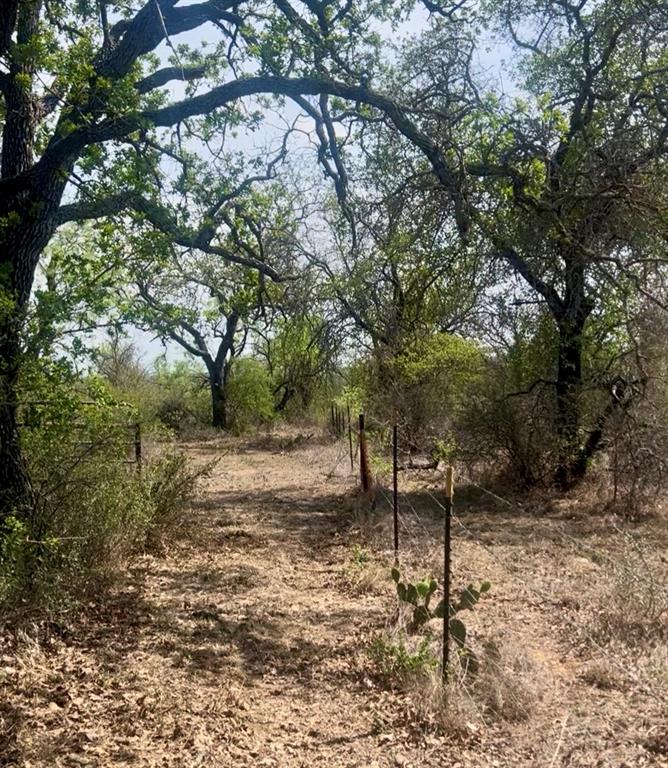 4692 County Road 249, Rochelle, Texas image 25