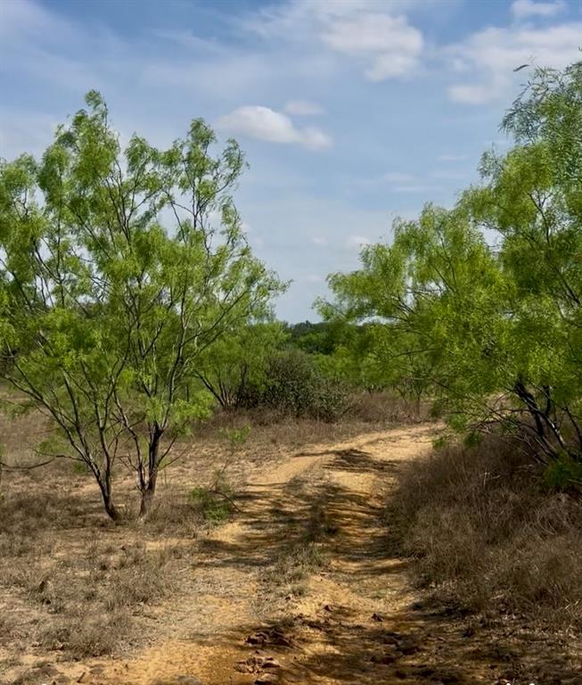 4692 County Road 249, Rochelle, Texas image 17