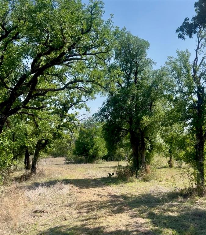 4692 County Road 249, Rochelle, Texas image 29