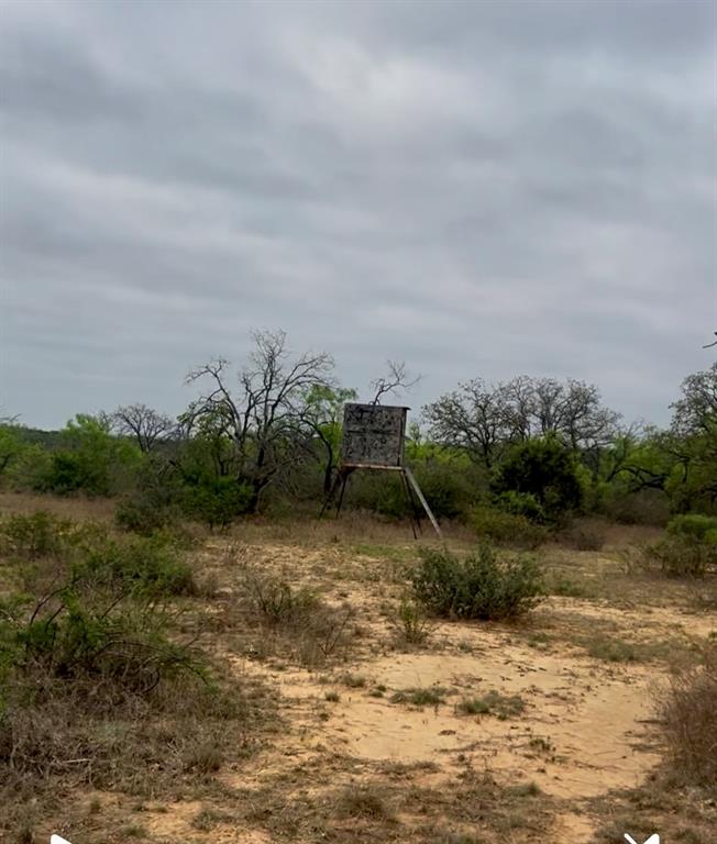 4692 County Road 249, Rochelle, Texas image 34