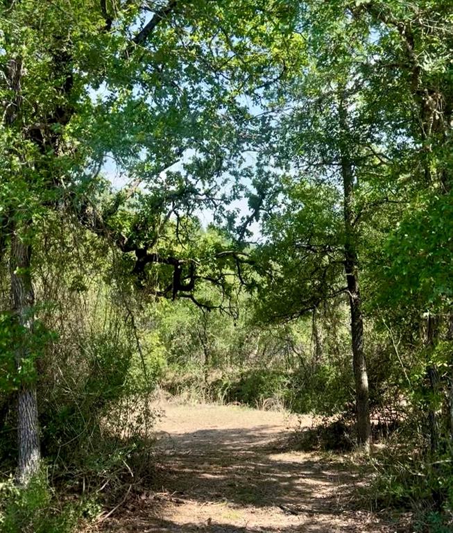 4692 County Road 249, Rochelle, Texas image 23