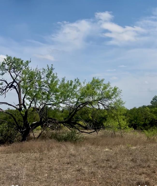 4692 County Road 249, Rochelle, Texas image 24