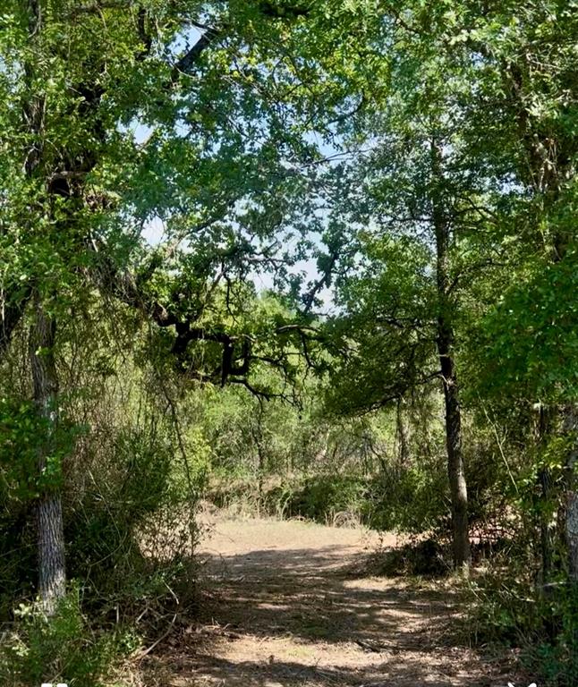 4692 County Road 249, Rochelle, Texas image 19