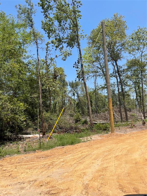118 Private Road 3017-1, Dayton, Texas image 4