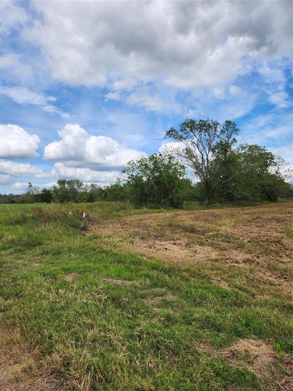 200 Cripple Creek Lane, Angleton, Texas image 3