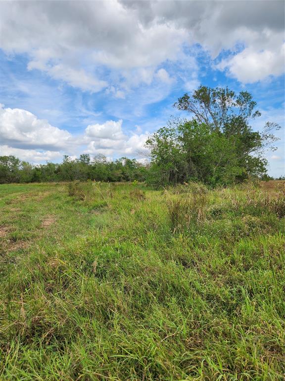 200 Cripple Creek Lane, Angleton, Texas image 1