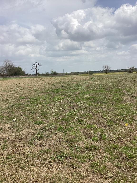 18188 Highway 90n, Bedias, Texas image 9