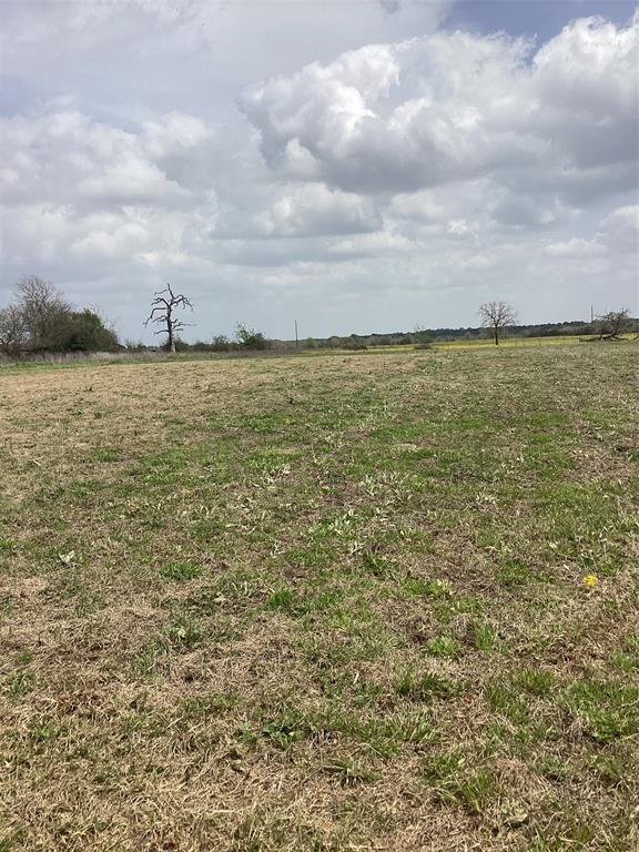 18188 Highway 90n, Bedias, Texas image 6