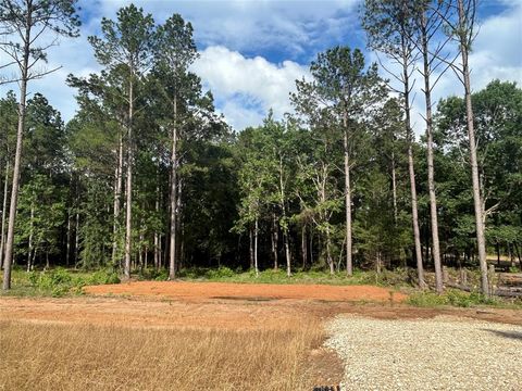 11332 Annie Creek Drive Willis TX 77378