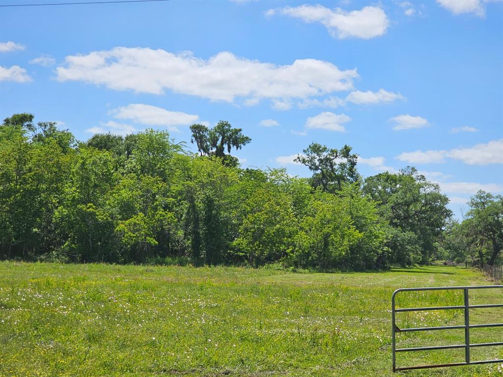 2270 Fm 521 Road, Brazoria, Texas image 10