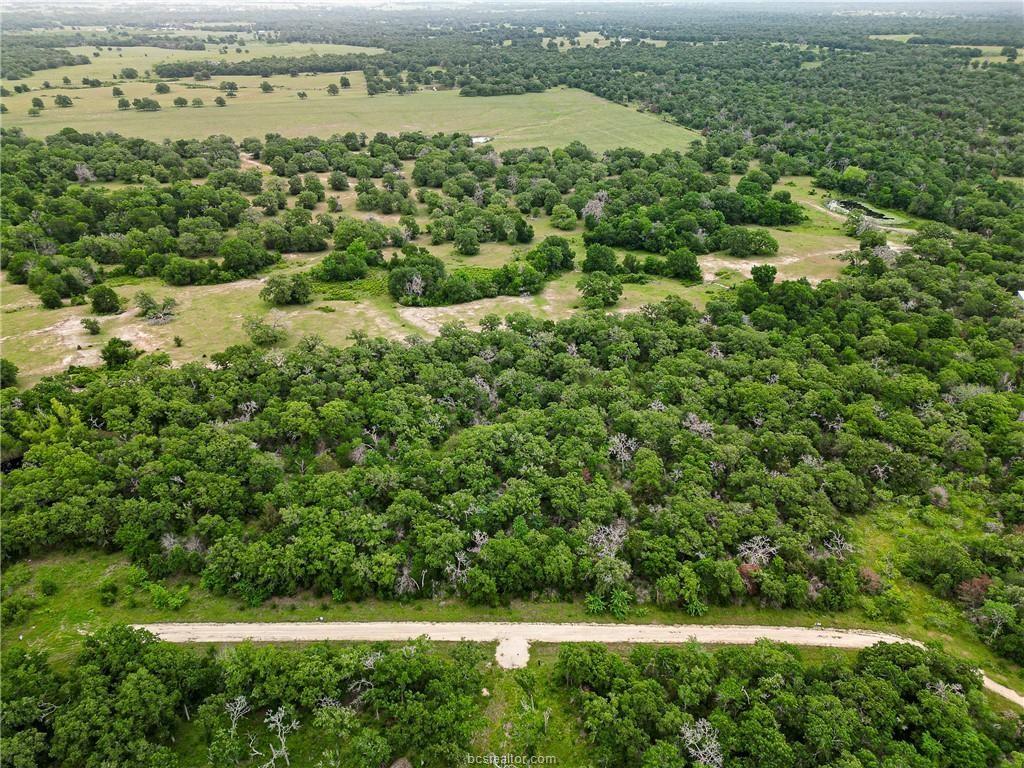 Lot 184 Burr Oak Lane, Snook, Texas image 8