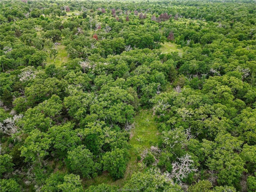 Lot 184 Burr Oak Lane, Snook, Texas image 11