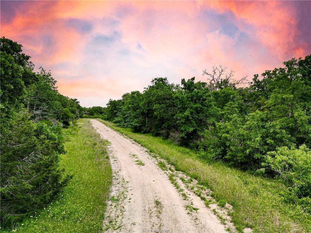 Lot 184 Burr Oak Lane, Snook, Texas image 7