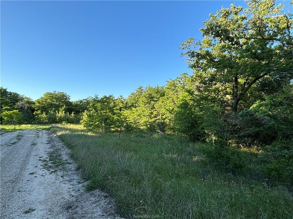 Lot 184 Burr Oak Lane, Snook, Texas image 3
