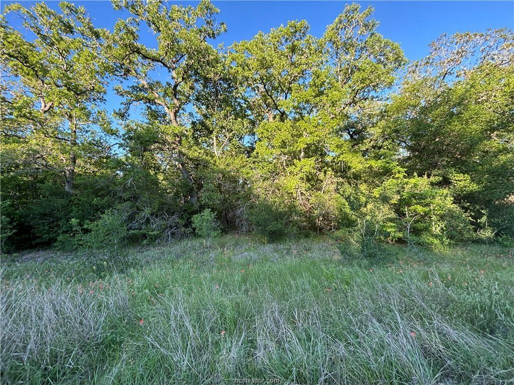 Lot 184 Burr Oak Lane, Snook, Texas image 2