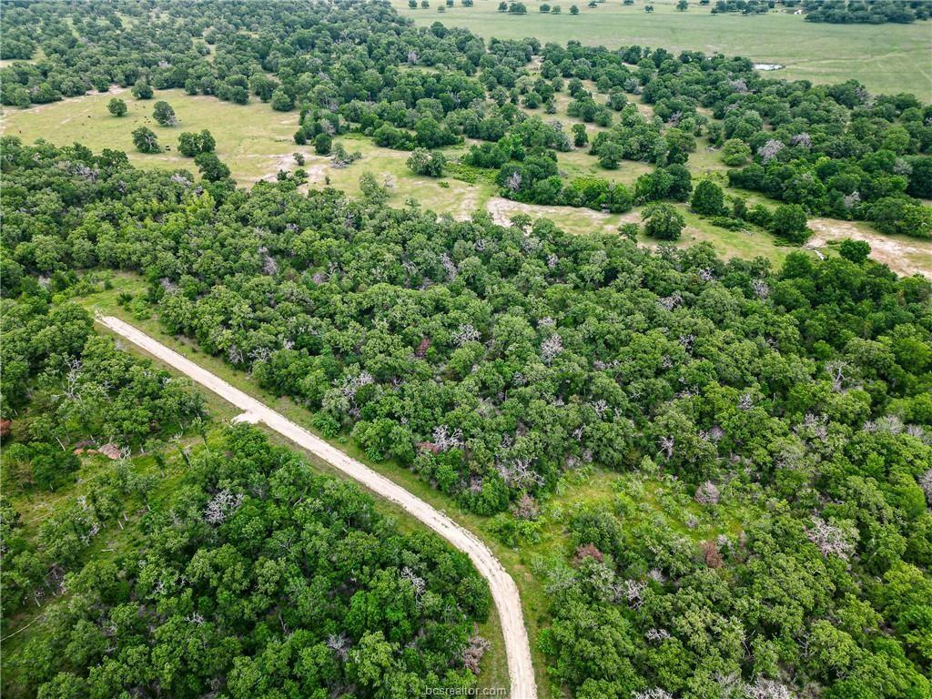 Lot 184 Burr Oak Lane, Snook, Texas image 10