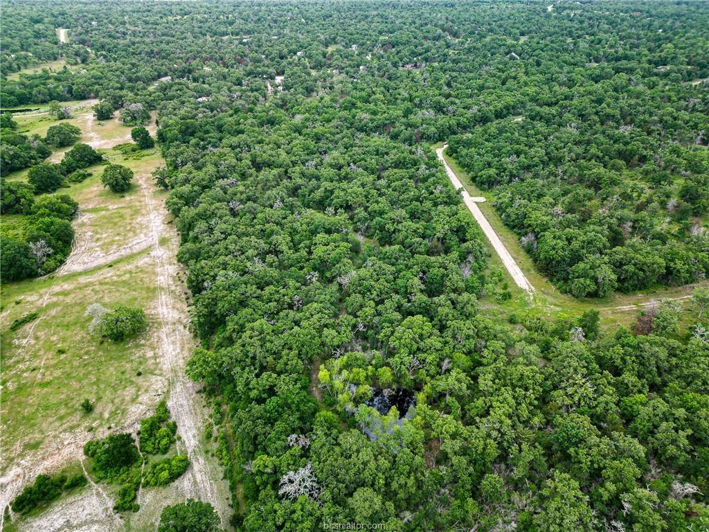 Lot 184 Burr Oak Lane, Snook, Texas image 9