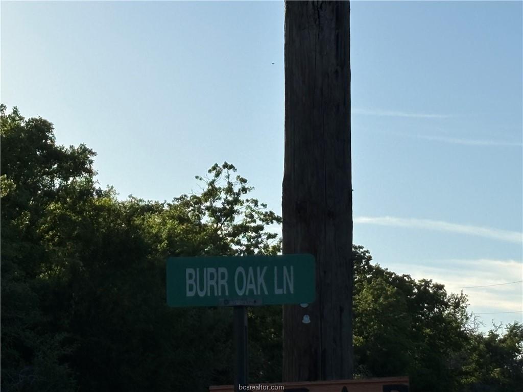 Lot 184 Burr Oak Lane, Snook, Texas image 6
