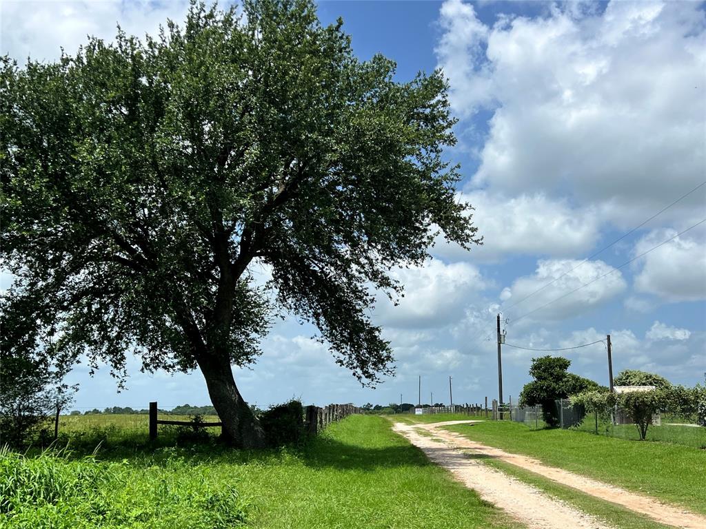 20573 Fontenot Lane