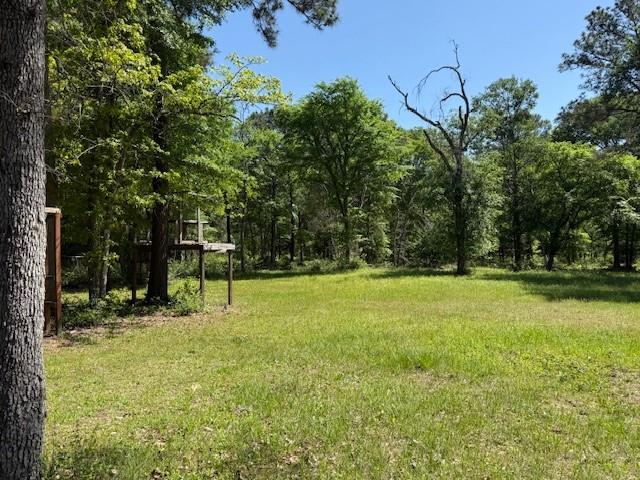 34 Whippoorwill Farms, Navasota, Texas image 6
