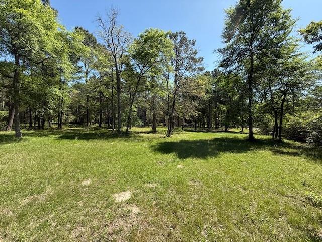 34 Whippoorwill Farms, Navasota, Texas image 2