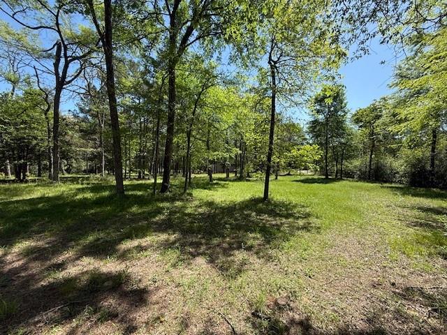34 Whippoorwill Farms, Navasota, Texas image 1