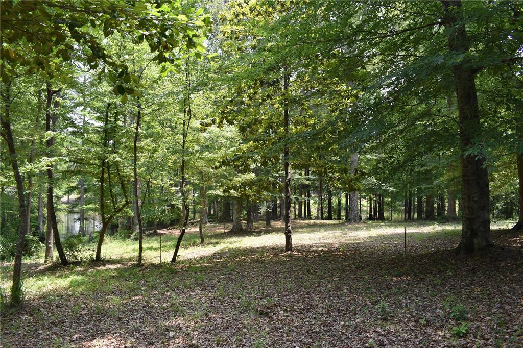 Tom Low Drive, Hemphill, Texas image 9