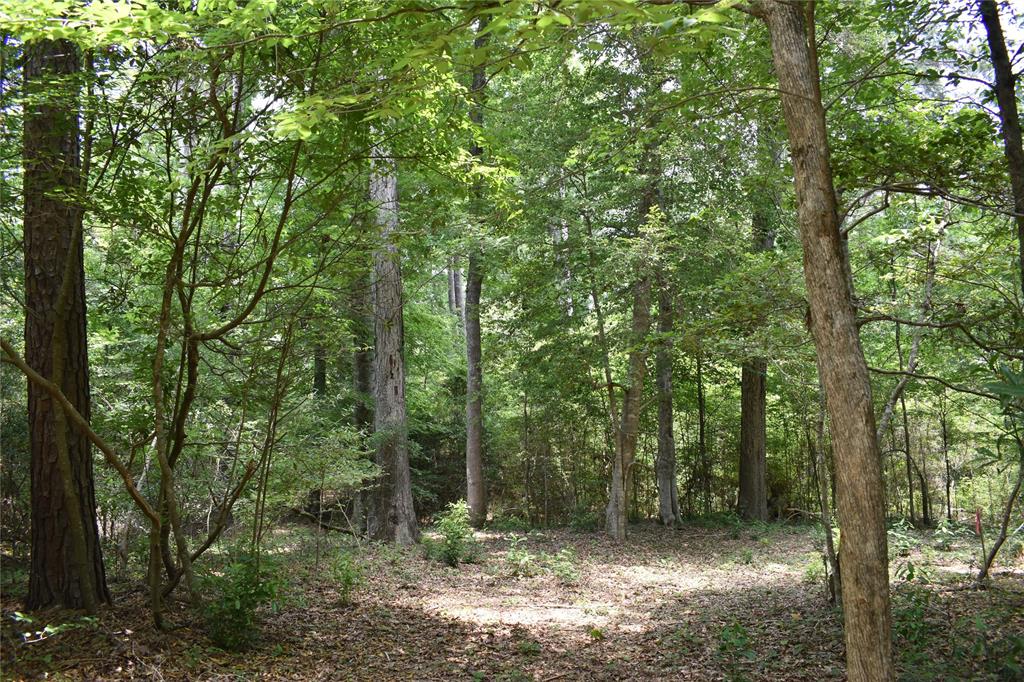 Tom Low Drive, Hemphill, Texas image 6