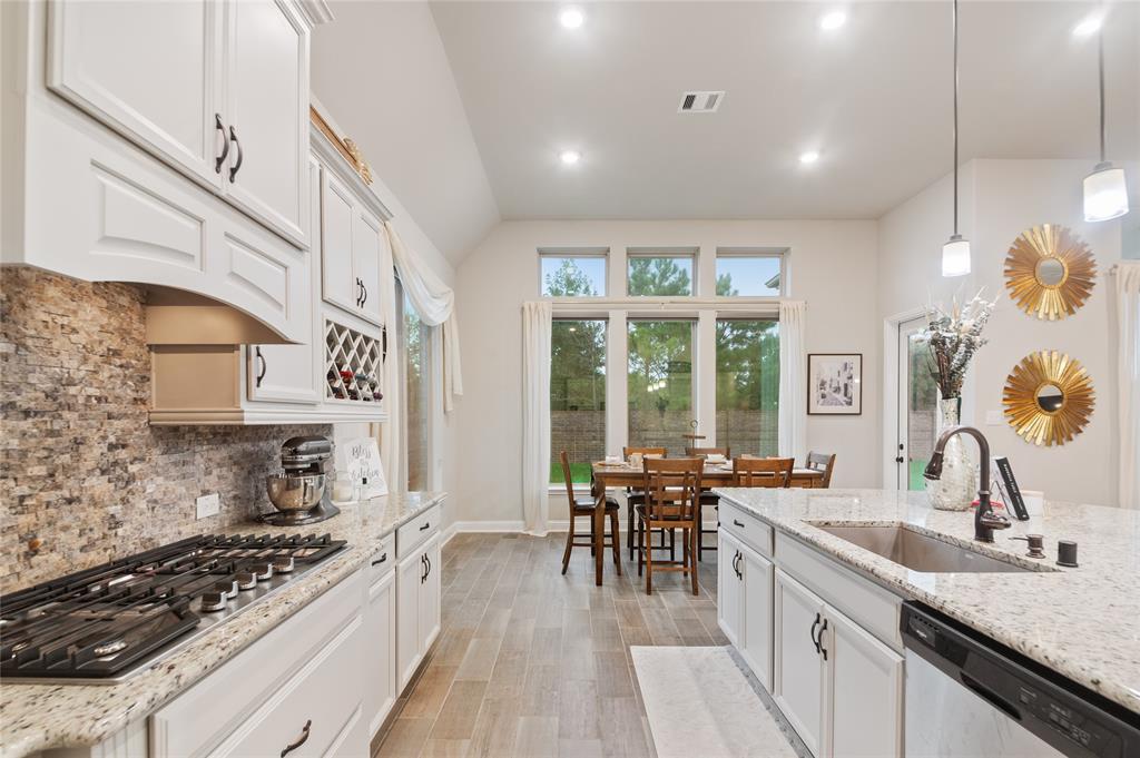 29410 Pewter Run Lane, Katy, Texas image 16