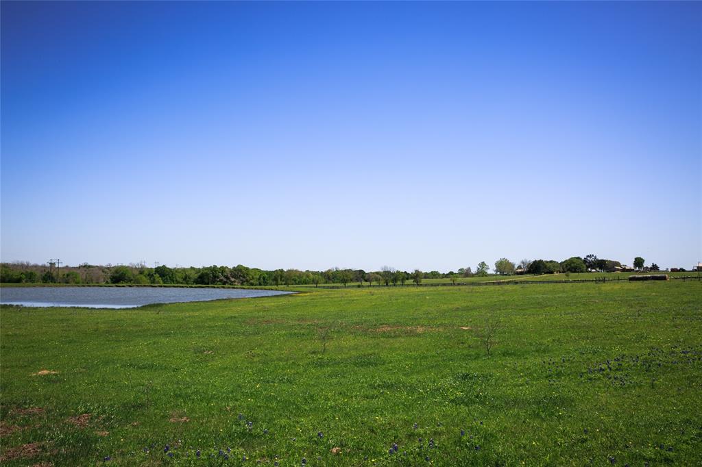 84 Acres Caney Creek Road, Chappell Hill, Texas image 7