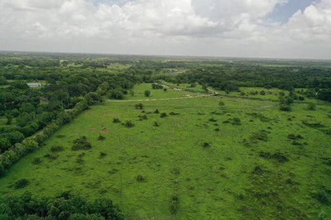 7652 Dalmolin Road Manvel TX 77578