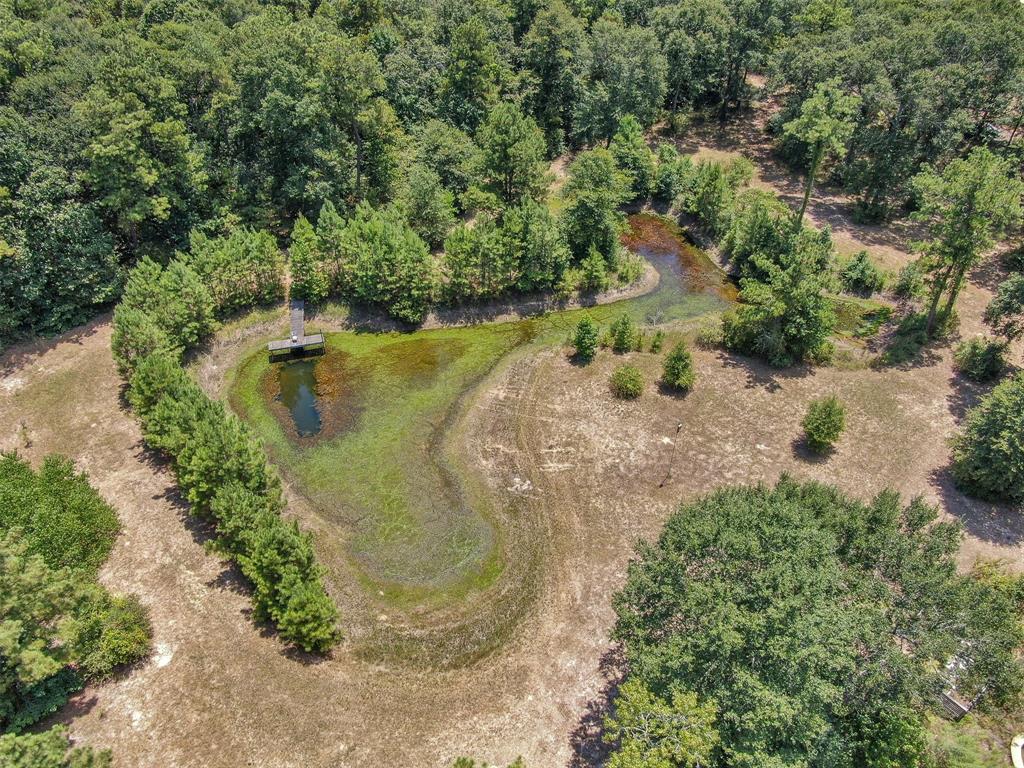 10173 Crockett Martin Road, Conroe, Texas image 9