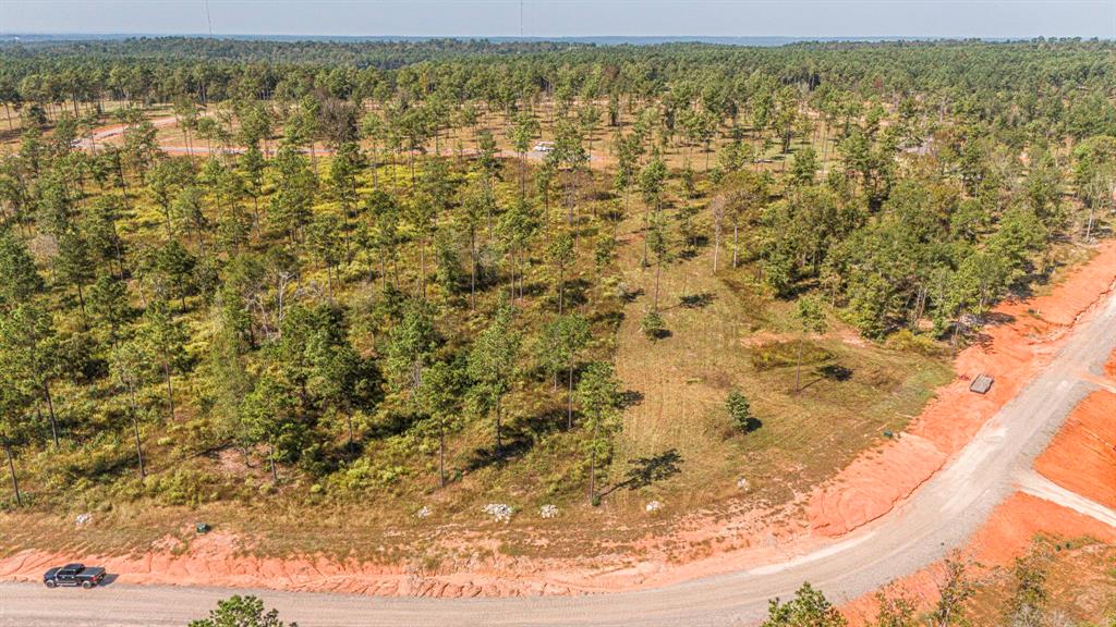 074 Western, Livingston, Texas image 8