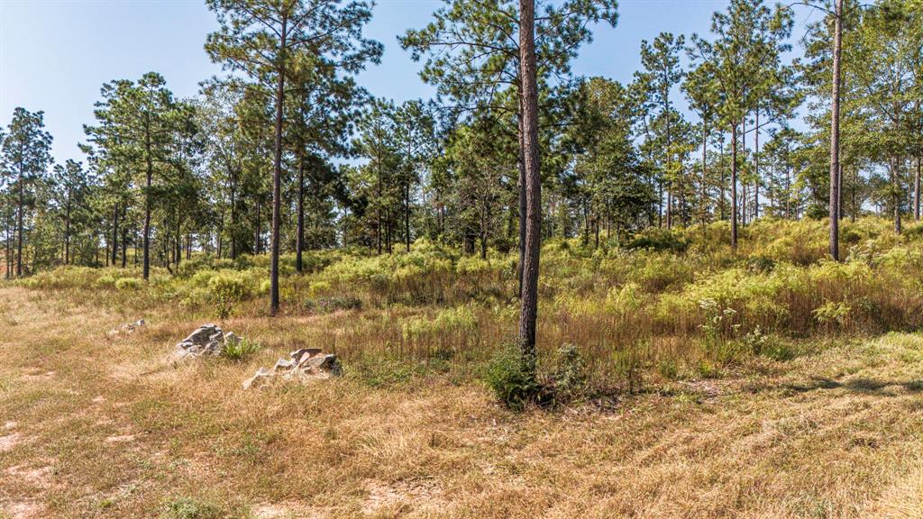 074 Western, Livingston, Texas image 7