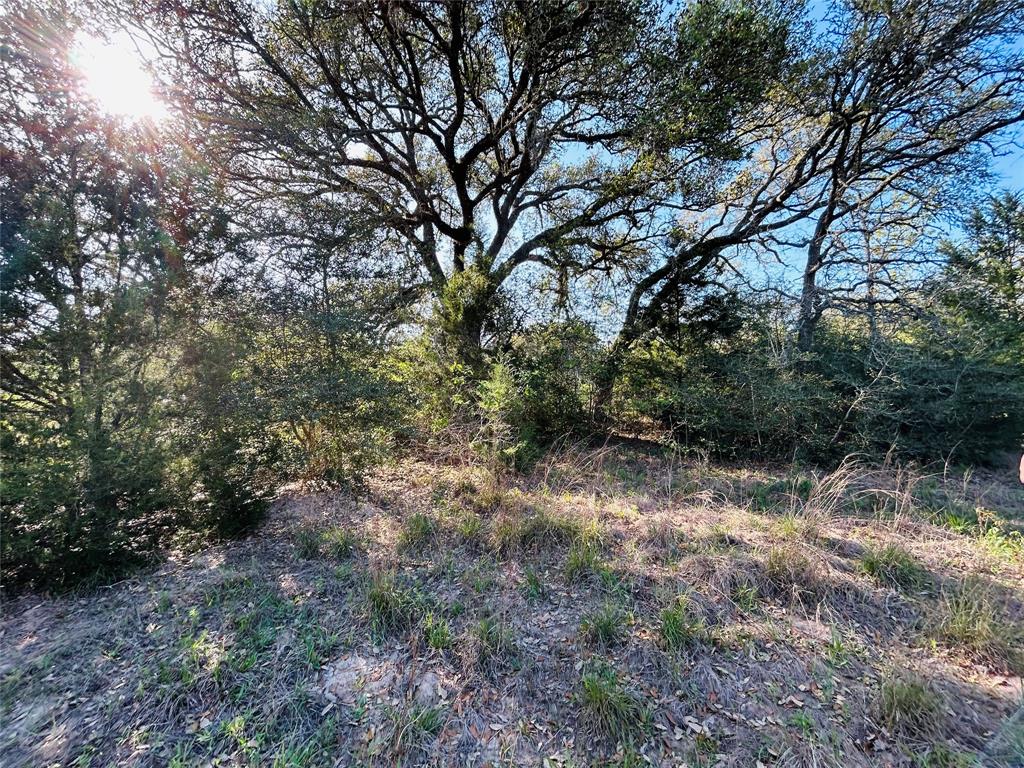 1147 County Road 156 Rd, Columbus, Texas image 8