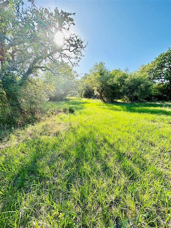 1147 County Road 156 Rd, Columbus, Texas image 4