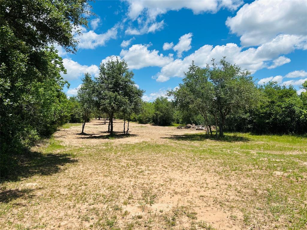1147 County Road 156 Rd, Columbus, Texas image 3