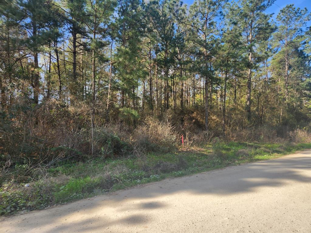Lot 9 Tawnyberry Lane, Plantersville, Texas image 3