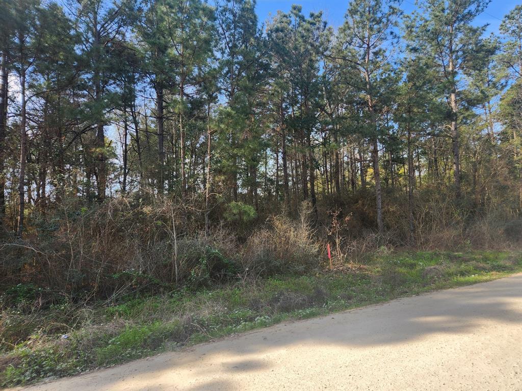 Lot 9 Tawnyberry Lane, Plantersville, Texas image 4