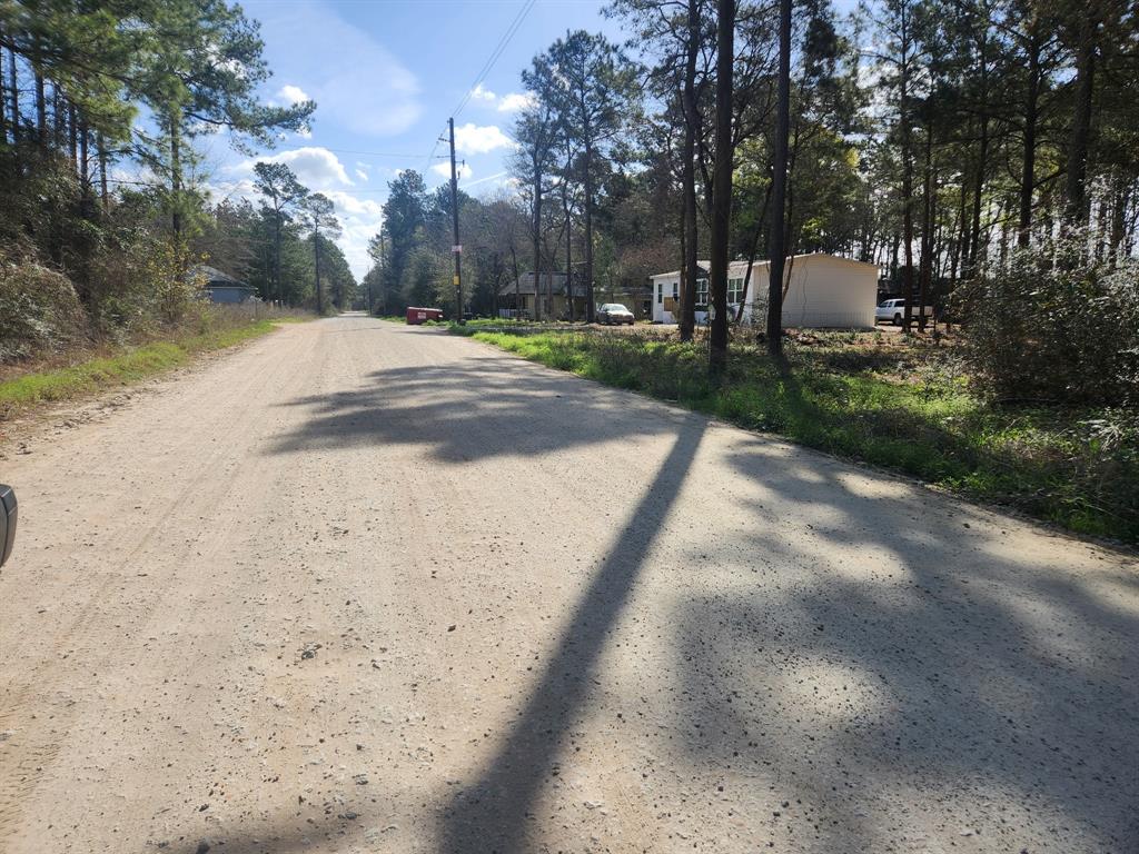 Lot 9 Tawnyberry Lane, Plantersville, Texas image 6