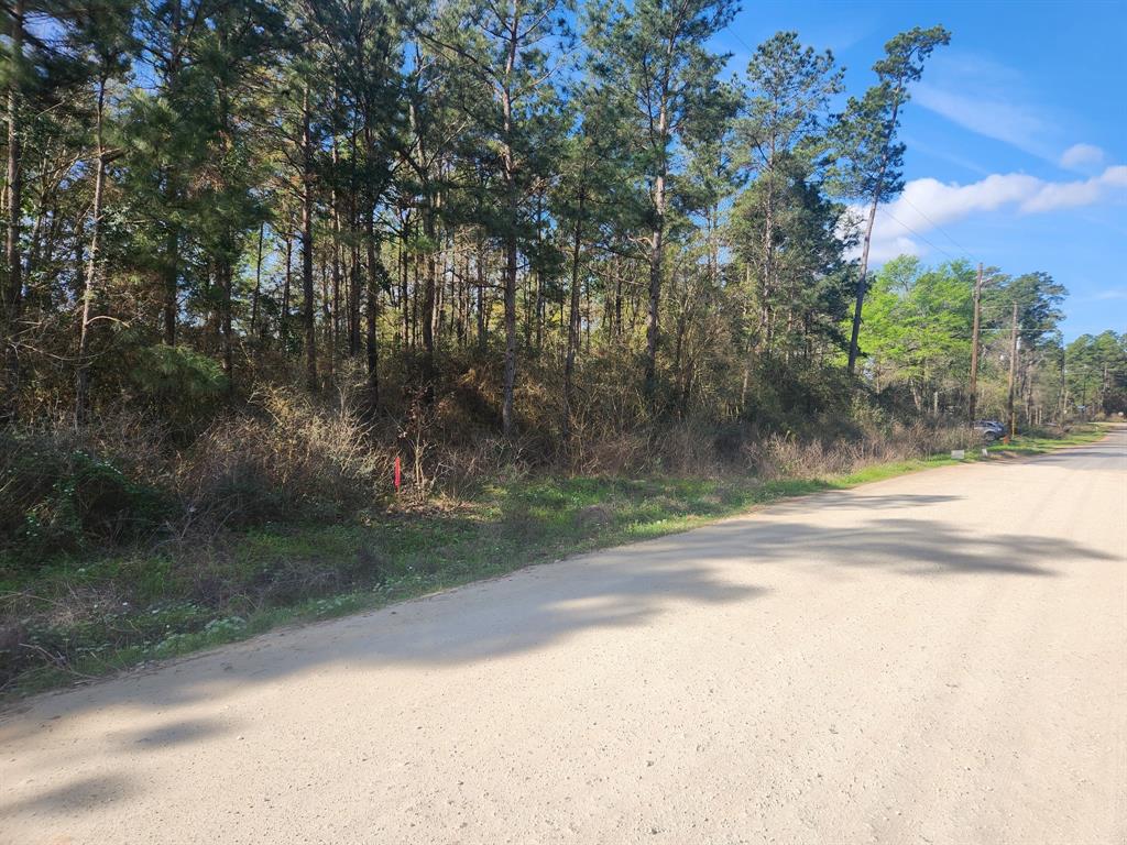 Lot 9 Tawnyberry Lane, Plantersville, Texas image 1