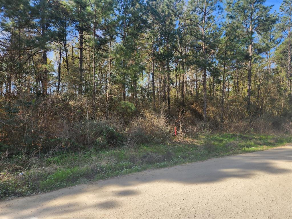 Lot 9 Tawnyberry Lane, Plantersville, Texas image 5