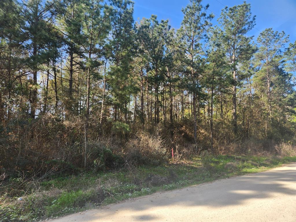 Lot 9 Tawnyberry Lane, Plantersville, Texas image 2