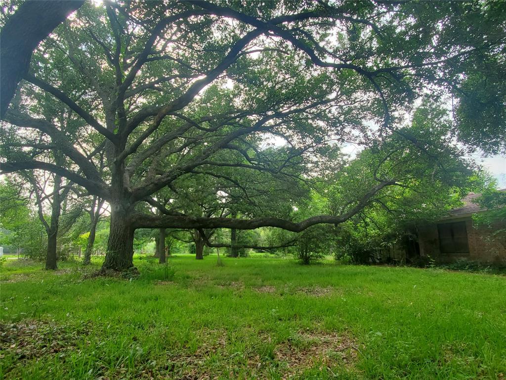 7514 Scott Avenue, Manvel, Texas image 4