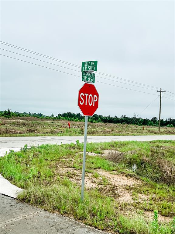 Partners Way, Porter, Texas image 6